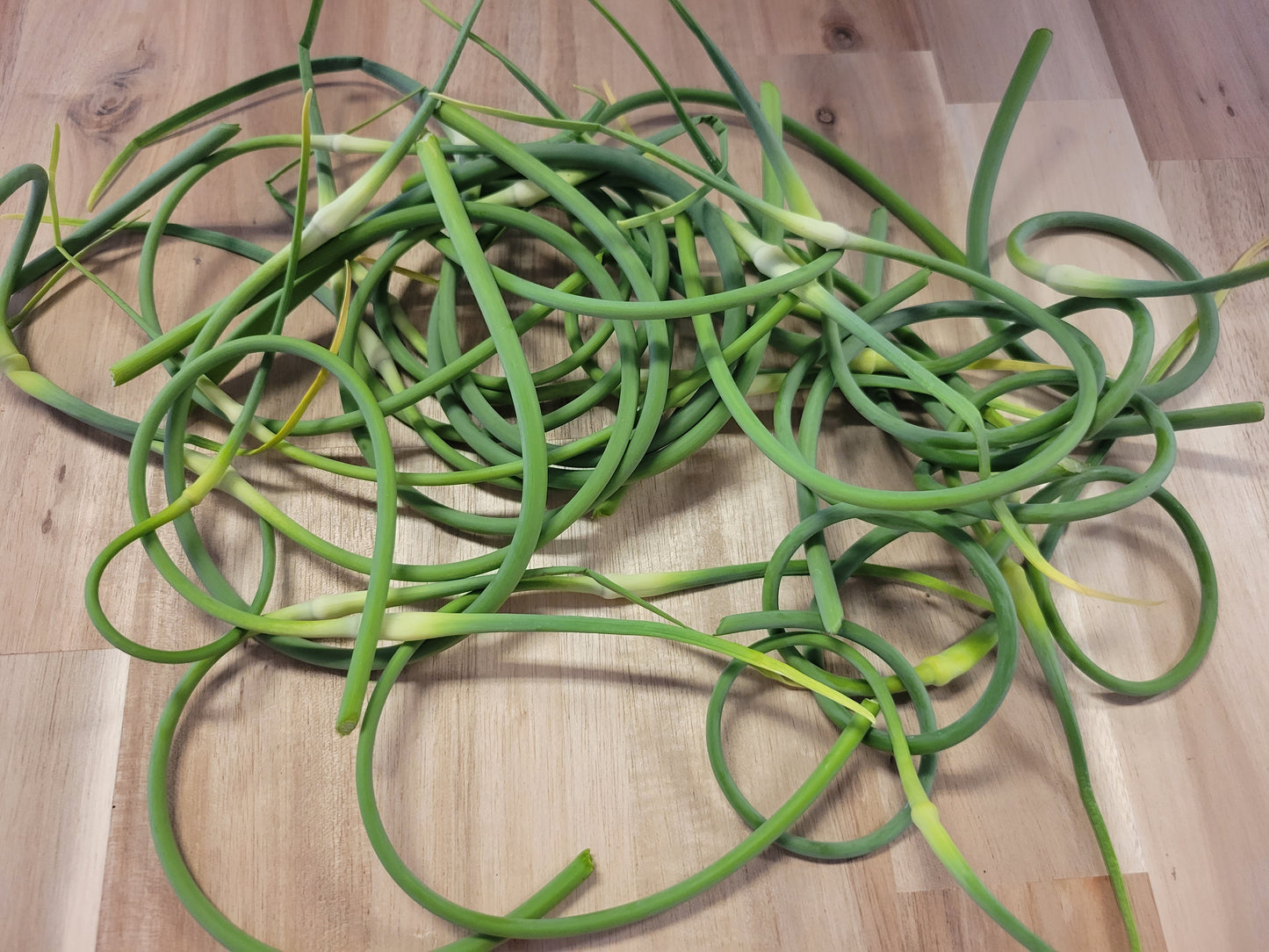 Scapes - SOLD OUT!